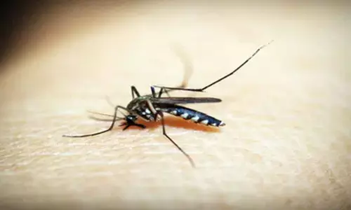 Ethiopia reports over 520,000 malaria cases in May: WHO