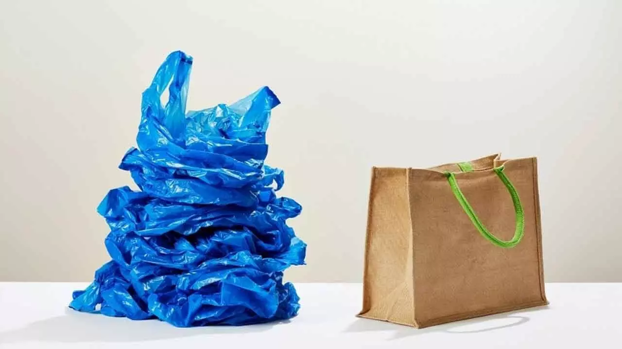 International Plastic Bag Free Day: A student’s guide to green alternatives