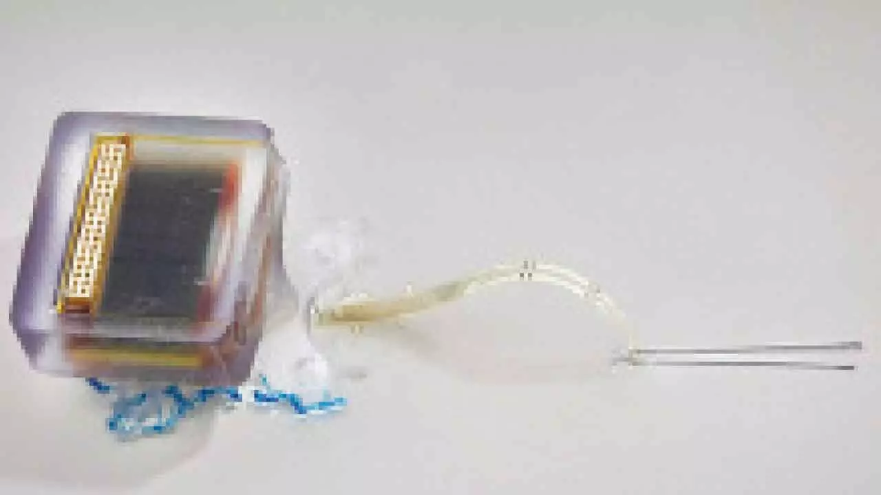 Implantable electronic device restores movement after spinal cord injury