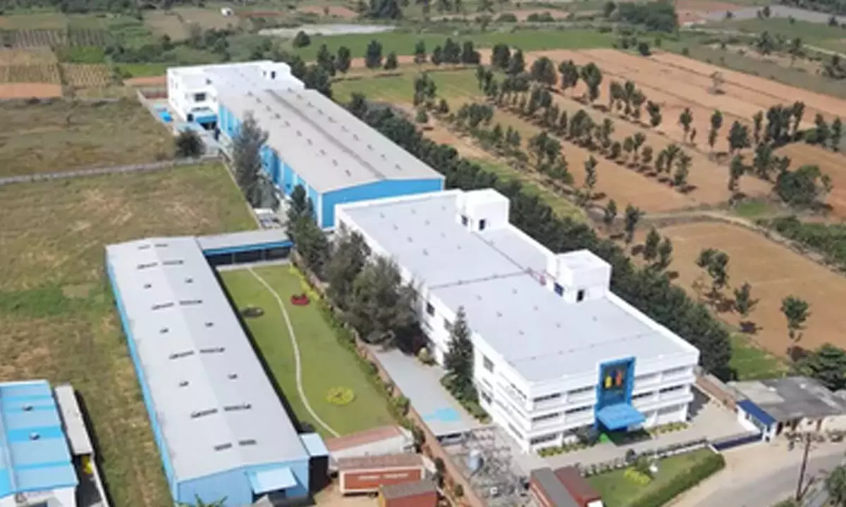 IPO-bound Manika Plastech’s revenue falls over 9 pc in FY24, total income drops 7.6 pc