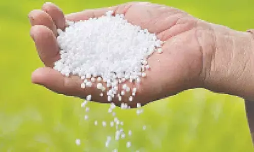 Tummala writes to Centre for boosting urea supplies amid severe shortage