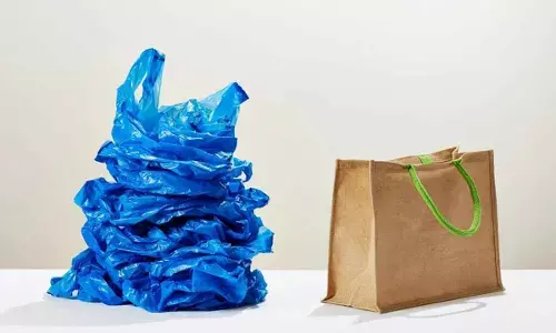 International Plastic Bag Free Day: A student’s guide to green alternatives