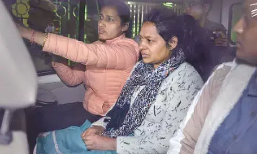 Two get bail in Parl security breach case