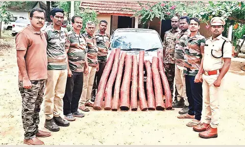 9 red sanders logs seized