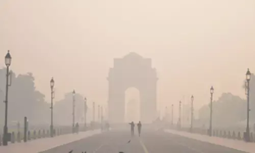 New pocket-sized sensor to detect asthma, lung damage causing sulphur dioxide