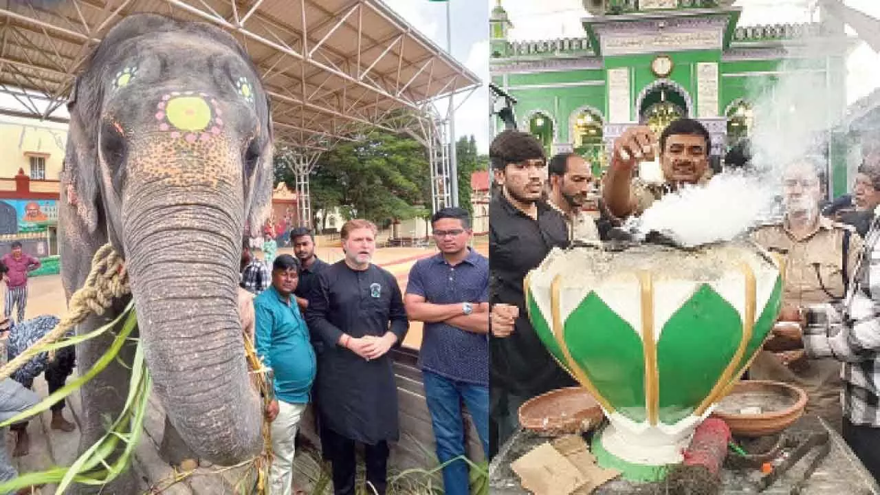 ‘Robust security measures in place for Bibi-ka-Alam procession’