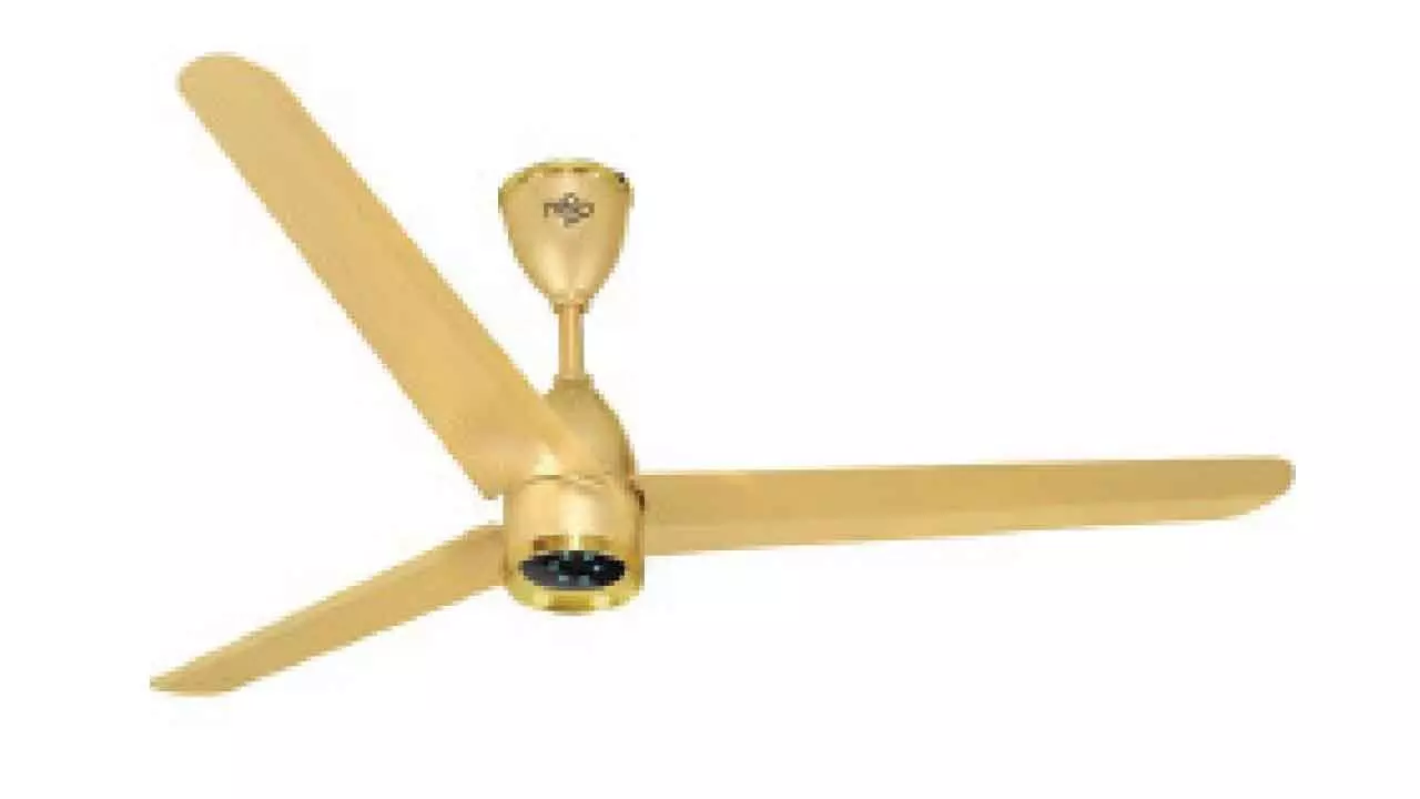Nippo debuts BLDC ceiling fans, eyes 10% market share Nippo debuts BLDC ceiling fans, eyes 10% market share