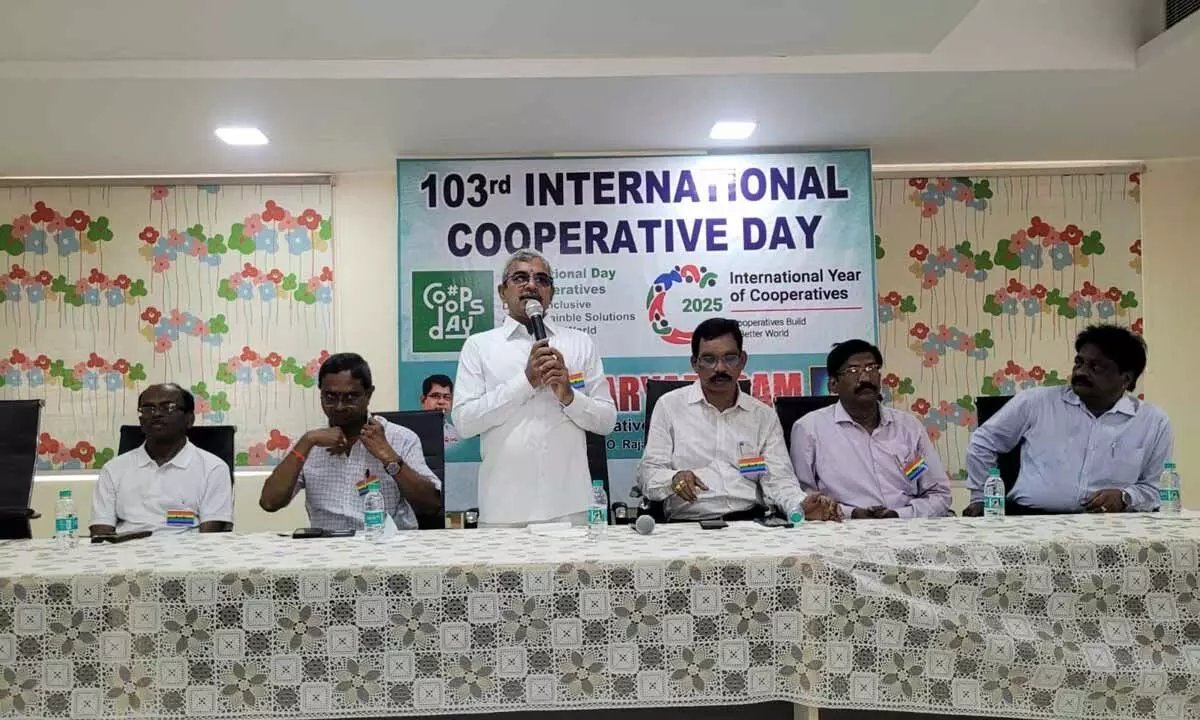 Cooperatives are pillars of rural development