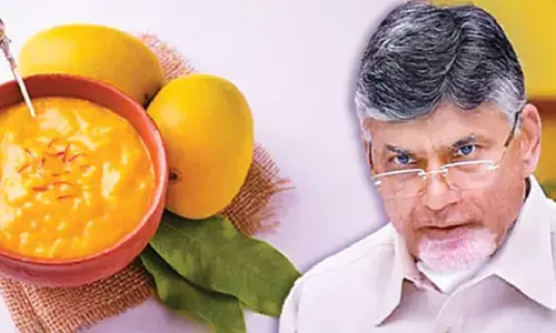 GST relief sought for mango pulp, fruit juices