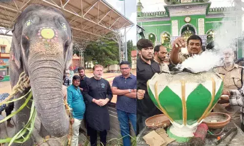 ‘Robust security measures in place for Bibi-ka-Alam procession’