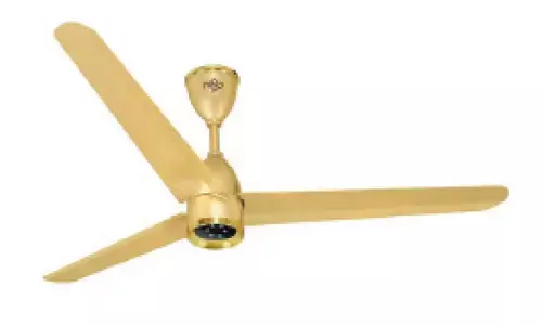 Nippo debuts BLDC ceiling fans, eyes 10% market share