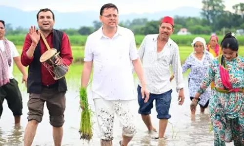 CM Dhami Plants Paddy in Khatima, Pays Tribute to Farmers’ Hard Work