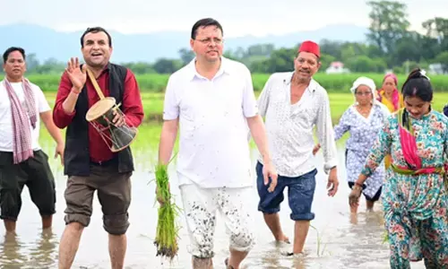 Uttarakhand CM Pushkar Dhami plants paddy in Khatima, pays tribute to hard work of farmers