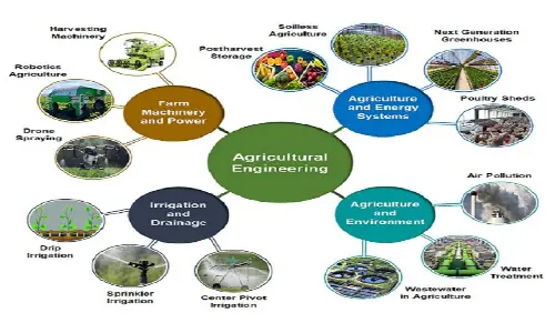Engineering education in agriculture, nutrition, and holistic health stabilisation