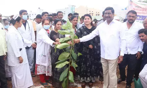 Minister launches saplings plantation drive on birthday