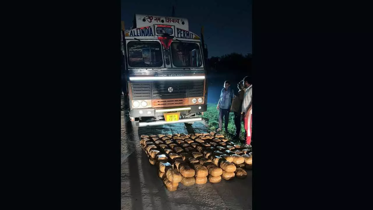 Delhi Police bust interstate drug network, recover 313 kg ganja Delhi Police bust interstate drug network, recover 313 kg ganja