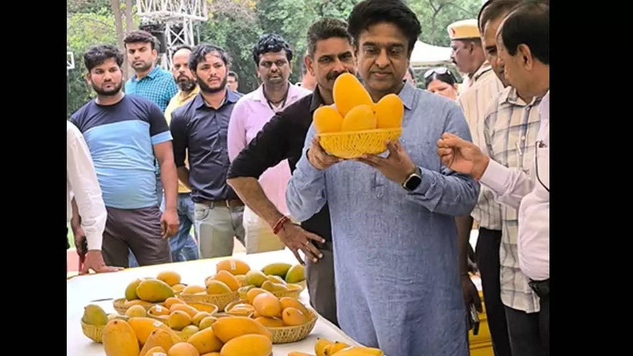 Delhi: NDMC’s two-day ‘Mango Festival’ enthrals diplomats, fruit lovers Delhi: NDMC’s two-day ‘Mango Festival’ enthrals diplomats, fruit lovers