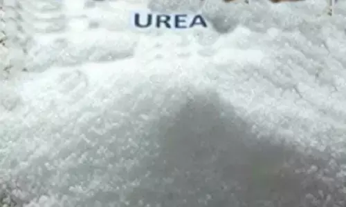 KTR demands probe into urea shortage in Telangana