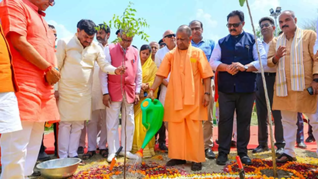 UP govt gears up for green push with mega plantation drive, ministers to plant saplings in all 75 districts
