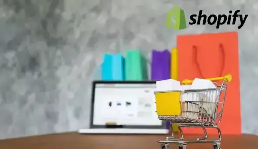 The 10 Best Shopify Website Designers in India