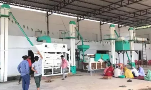 AI, IoT to drive India as a global leader in food processing: Report