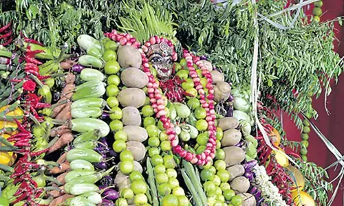 Shakambari festival begins at Indrakeeladri in Vijayawada