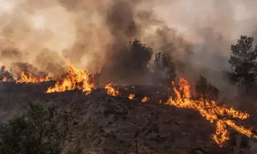 Serbia battles hundreds of wildfires as heatwave triggers national emergency