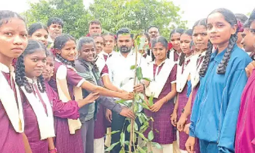 Trees vital for reducing pollution: Bojju Patel