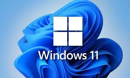 Windows 11 Surpasses Windows 10 in Desktop Market Share After Nearly Four Years