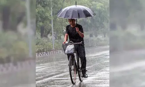 Gujarat records widespread showers, Borsad tops rainfall chart