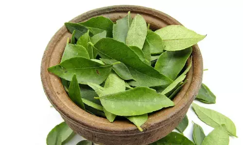 Start Your Day with Curry Leaves: A Natural Health Booster You Might Be Missing