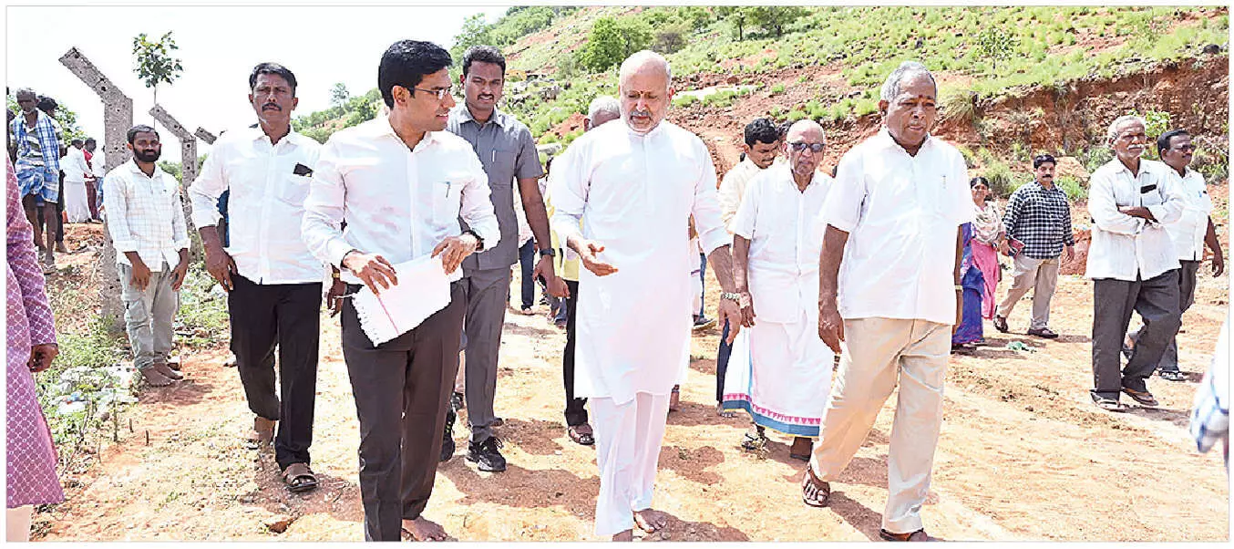 Trees are foundation of human survival: Collector