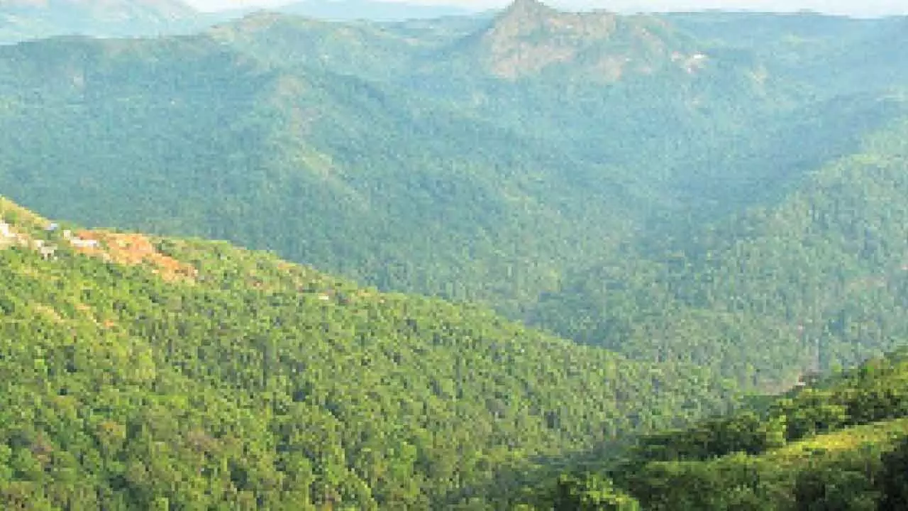 Setback for Yettinahole project as forest  panel rejects extra land approval