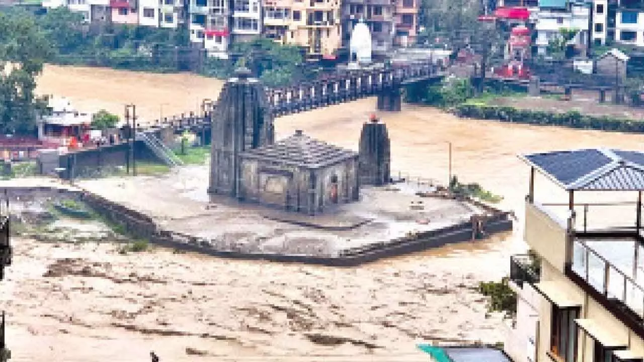 HP rains: 7 dists face flash flood risk, 225 roads closed