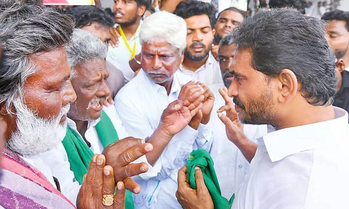 Jagan blames govt for mango farmers’ plight Jagan blames govt for mango farmers’ plight