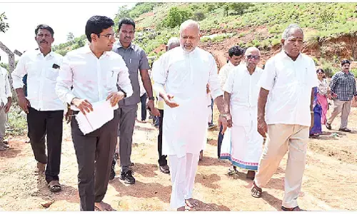 Trees are foundation of human survival: Collector