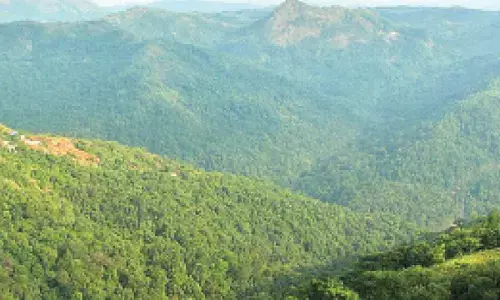 Setback for Yettinahole project as forest  panel rejects extra land approval