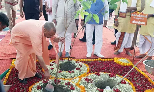 Planted 204 crore saplings, reforested 5 lakh acres in eight years: UP CM Yogi Adityanath