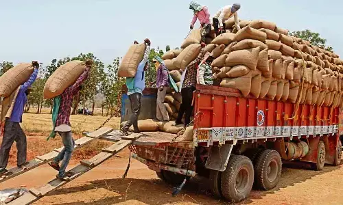 Rs 672 cr dues of paddy procurement released