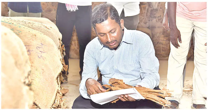 Hassle-free procurement of tobacco assured