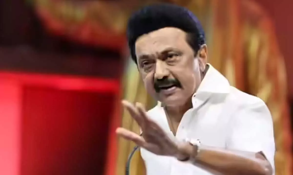 Tamil Nadu CM Stalin Reportedly Mediates In Maran Brothers Business Feud Over Sun TV Tamil Nadu CM Stalin Reportedly Mediates In Maran Brothers Business Feud Over Sun TV