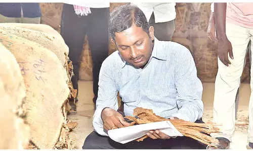 Hassle-free procurement of tobacco assured