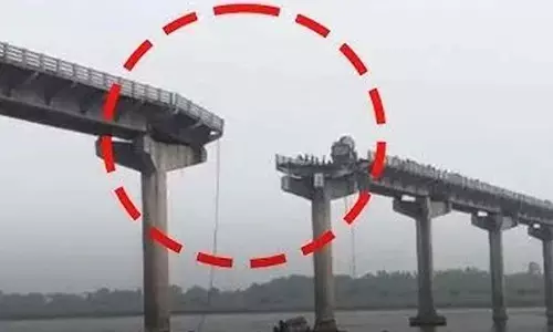 11 Killed in Gujarat Bridge Collapse