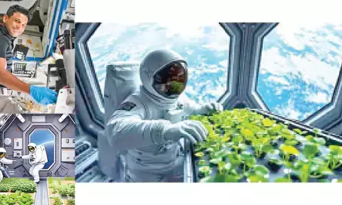 Astronaut Shukla grows methi, moong on ISS