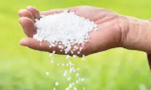 Nadda alarmed by rising urea demand in TG