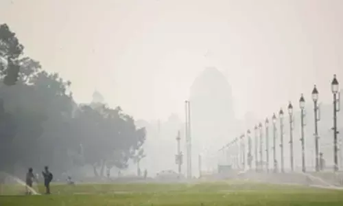 Exposure to toxic air may raise risk of common brain tumour: Study