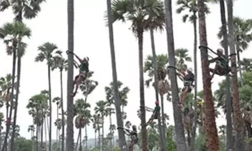 Number of people affected by adulterated toddy in Hyderabad rises to 37