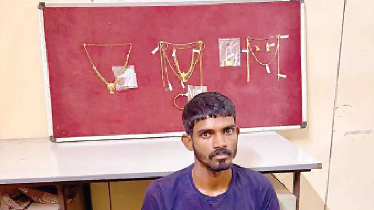 House burglar apprehended, gold worth `31 lakh recovered House burglar apprehended, gold worth `31 lakh recovered
