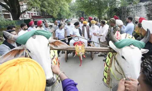 Punjab Assembly passes Bill to allow bullock cart races in Kila Raipur rural games