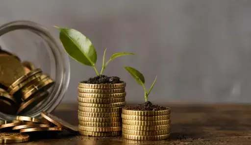 Launch Your Digital Asset Fund With Confidence: A Strategic Guide by CV5 Capital